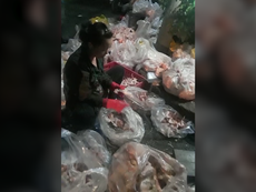 Cận cảnh bán gà để dưới đất, gần vũng nước dơ