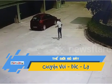 Video: Đi lại tỉnh bơ sau khi bị xe tông bay vài mét