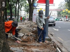 Tất bật thay vỉa hè Công viên 30-4 bằng bồn hoa, thảm cỏ