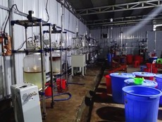 Video: Bên trong xưởng sản xuất ma túy ở Kon Tum