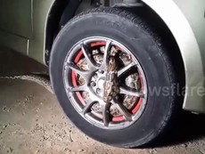 Ớn lạnh phát hiện trăn cuộn tròn trong bánh xe ô tô