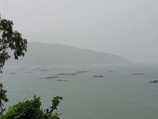 Phú Yên: mưa to, gió mạnh, sóng biển dâng cao