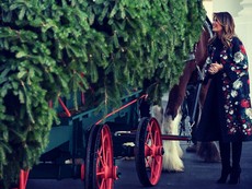 Đệ nhất phu nhân Mỹ đón cây thông Giáng sinh tại Nhà Trắng