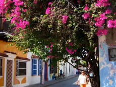 Cartagena, thành phố của sắc màu