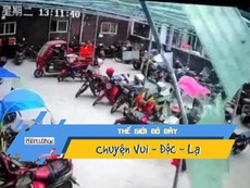 Rơi từ tầng 25, bé gái đứng dậy chạy vào nhà bình thường