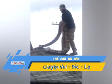 Video: Hoảng hồn phát hiện trăn 5,5m bò trên mái nhà