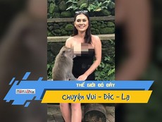 Video: Khỉ sàm sỡ nữ du khách xinh như mộng