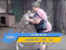 Video: Ngày đoàn tụ, chú chó ôm chặt chủ sau 2 năm đi lạc