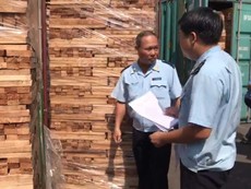 Phát hiện 111 container gỗ nghi trốn thuế tại cảng Cát Lái
