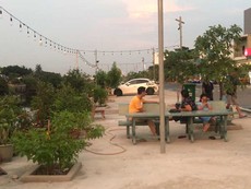 TP.HCM: Những dòng kênh chết đang hồi sinh
