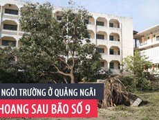 Nhiều trường học ở Quảng Ngãi tan hoang sau bão số 9