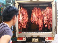 Clip ngăn chặn gần một tấn thịt bò bơm nước trước khi vào chợ