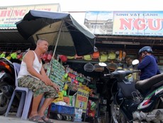 Chợ sinh vật cảnh nằm cạnh Tân Sơn Nhất sắp bị giải tỏa