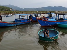 Clip: Cưỡng chế hơn 1.200 người ở vùng dự kiến tâm bão