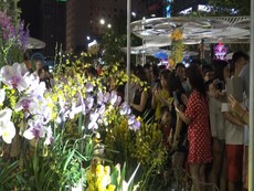 Cận cảnh đông đảo người đến xem đường hoa Canh Tý