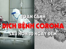 Toàn cảnh dịch bệnh corona sau hơn 30 ngày đêm
