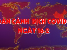 Toàn cảnh dịch COVID-19 ngày 16-2