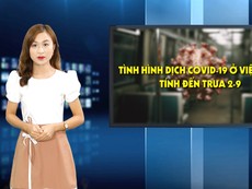 Tình hình dịch COVID-19 ở Việt Nam tính đến trưa 2-9