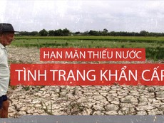 Mắt thấy tai nghe chuyện miền Tây 'khát' nước mùa hạn mặn