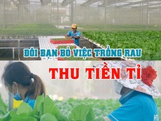 Độc đáo vườn rau thủy canh của đôi bạn Tuấn - Ngọc