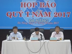 Đà Nẵng nói gì về vụ biệt thự 'lụi' ở bán đảo Sơn Trà?