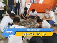 Video: Sử dụng 66 túi tiền xu để... mua một chiếc xe hơi