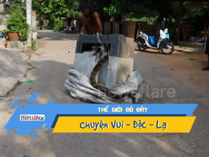 Hoảng hồn phát hiện trăn dài 3m trong máy giặt