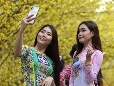 Giới trẻ đổ xô ‘check-in’ đường mai độc đáo ở Sài Gòn