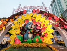 Video: Đường hoa Cần Thơ 2020 trước giờ khai mạc