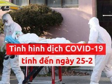 Toàn cảnh dịch COVID-19 ngày 25-2