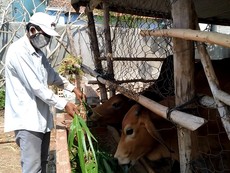 Cuộc sống của người dân thôn Văn Lâm 3 đang cách ly