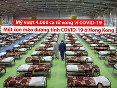 Video: Cập nhật đại dịch COVID-19 đến chiều 1-4