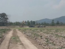 Cần chấn chỉnh tình trạng khai thác trái phép trên đất
