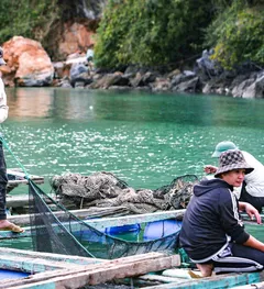 Sáng nay, Chương trình Cùng ngư dân Thắp sáng đèn trên biển đến với bà con ngư dân TP Hải Phòng