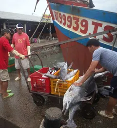 TP.HCM mở rộng mô hình 'cà phê sáng cùng ngư dân', tuyên truyền về IUU