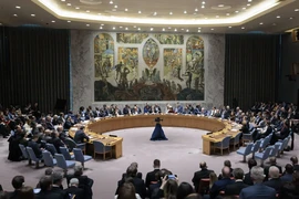 Hội đồng Bảo an Liên hợp quốc: Cải cách hay bị thay thế?