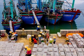 Ngư dân Nghệ An làm giàu từ biển