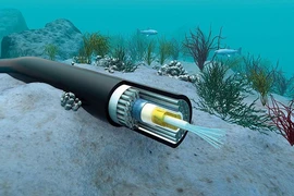 5 tuyến cáp quang biển kết nối đến Việt Nam đều gặp sự cố