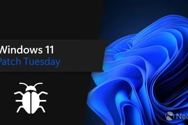 Bản cập nhật Windows 11 KB5048685 khiến WiFi bị lỗi