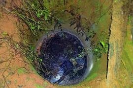Tưới cà phê, tá hóa thấy xác người dưới giếng