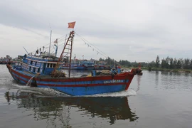 Quảng Ngãi cấm tàu thuyền ra khơi trước bão số 10 