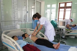 Ăn nhầm nấm tươi trong rừng, 5 người nguy kịch