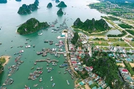 Kỳ họp tới, Quốc hội chưa xem xét dự luật đặc khu