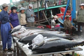 Nhiều mặt hàng hải sản thế mạnh của Việt Nam được miễn thuế nhập khẩu vào Trung Quốc. 