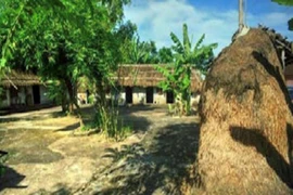 (Hình minh họa)