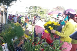 Thời tiết dịp Tết Canh Tý: Nơi giá rét, chỗ nắng chói chang 