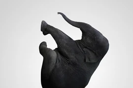 Khiêm nhường để thành công