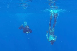Tín hiệu ở nam Ấn Độ Dương là của hộp đen máy bay