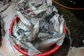 Dùng hóa chất, "phù phép" mực ươn thành tươi ngon 