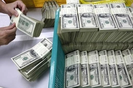 Nợ công Việt Nam: “Khả năng trả nợ rất khó khăn”